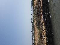 zenphoto/albums/2018/sicile/6 - Ile de Mothia/20180429_155635.jpg