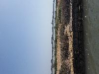 zenphoto/albums/2018/sicile/6 - Ile de Mothia/20180429_155647.jpg