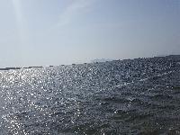 zenphoto/albums/2018/sicile/6 - Ile de Mothia/20180429_161402.jpg