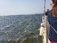 zenphoto/albums/2018/sicile/6 - Ile de Mothia/20180429_161452.jpg