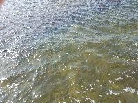 zenphoto/albums/2018/sicile/6 - Ile de Mothia/20180429_163028.jpg