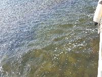 zenphoto/albums/2018/sicile/6 - Ile de Mothia/20180429_163036_001.jpg