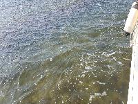 zenphoto/albums/2018/sicile/6 - Ile de Mothia/20180429_163039.jpg