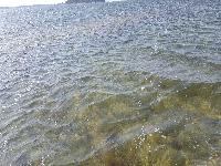zenphoto/albums/2018/sicile/6 - Ile de Mothia/20180429_163123.jpg