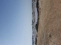 zenphoto/albums/2018/sicile/6 - Ile de Mothia/20180429_165714.jpg