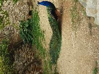 zenphoto/albums/2018/sicile/8 - Grotte de Mangiapane/20180430_110044.jpg