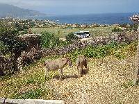 zenphoto/albums/2018/sicile/8 - Grotte de Mangiapane/20180430_111847.jpg
