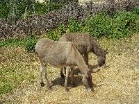 zenphoto/albums/2018/sicile/8 - Grotte de Mangiapane/20180430_111933.jpg