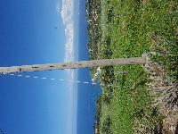 zenphoto/albums/2018/sicile/Divers et insolites/20180506_153909.jpg