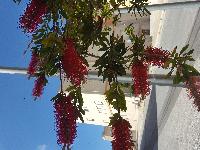zenphoto/albums/2018/sicile/Divers et insolites/20180509_152152.jpg