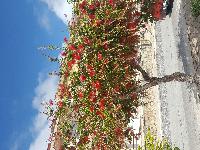 zenphoto/albums/2018/sicile/Divers et insolites/20180509_155916.jpg