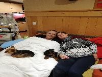 zenphoto/albums/2020/center parc/IMG_20201225_210652.jpg